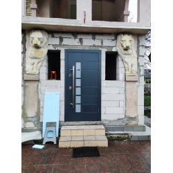 Входные Двери MEGAPOLIS (MG3) Улица со стеклопакетом 492 Liberty Abwehr