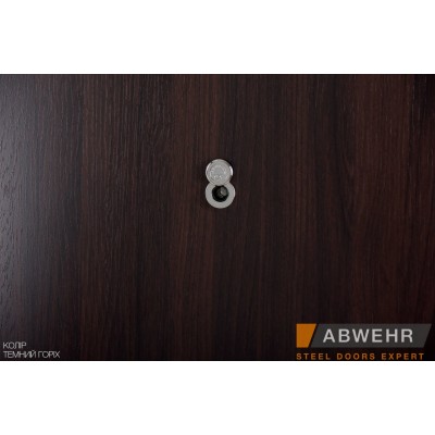 Вхідні Двері Nova AM 309 Miriel Vinorit Abwehr-4