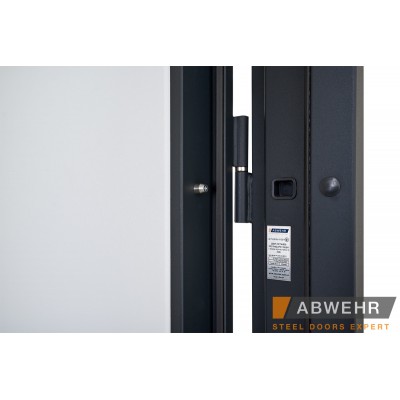 Входные Двери Defender (KTM) 506 Nordi Glass RAL 7021Т Abwehr-6