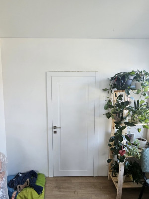 Двері P01 Dooris
