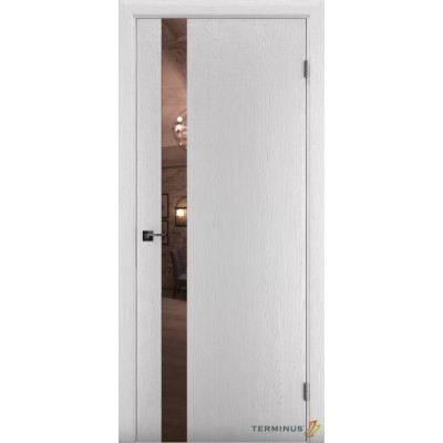 Міжкімнатні Двері 802 Solid 2 Terminus Фарба-12