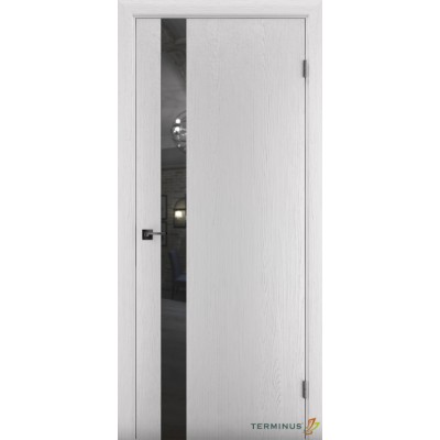 Міжкімнатні Двері 802 Solid 2 Terminus Фарба-11