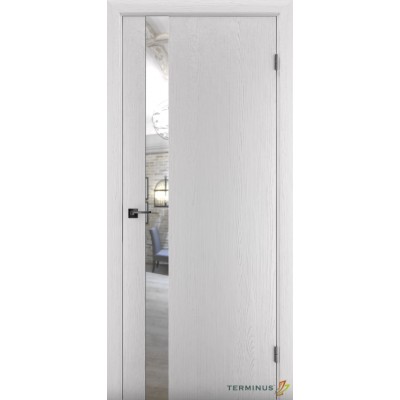 Міжкімнатні Двері 802 Solid 2 Terminus Фарба-10