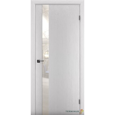 Міжкімнатні Двері 802 Solid 2 Terminus Фарба-8