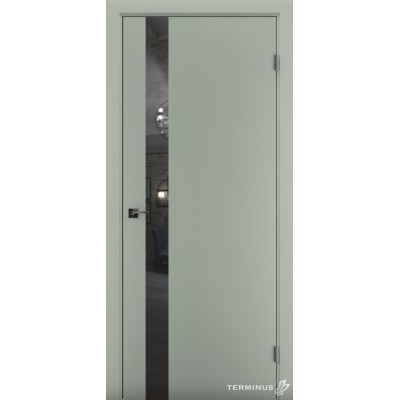 Міжкімнатні Двері 802 Solid 2 Terminus Фарба-46