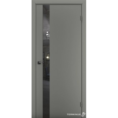 Міжкімнатні Двері 802 Solid 2 Terminus Фарба-40
