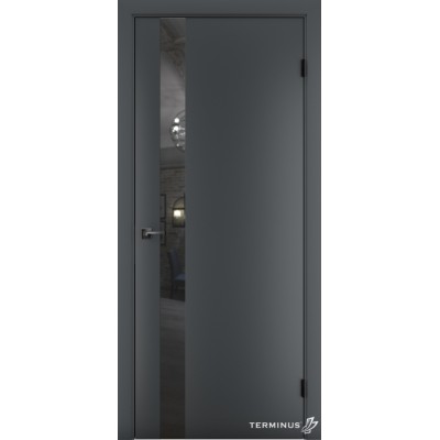 Міжкімнатні Двері 802 Solid 1 Terminus Фарба-21