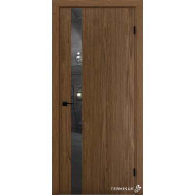 Міжкімнатні Двері 802 Solid 2 Terminus Фарба-28