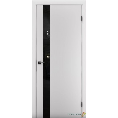 Міжкімнатні Двері 802 Solid 1 Terminus Фарба-19