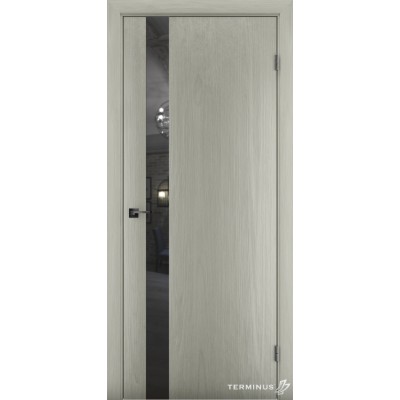 Міжкімнатні Двері 802 Solid 2 Terminus Фарба-17