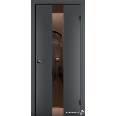 Міжкімнатні Двері 804 Solid 1 Terminus Фарба-11