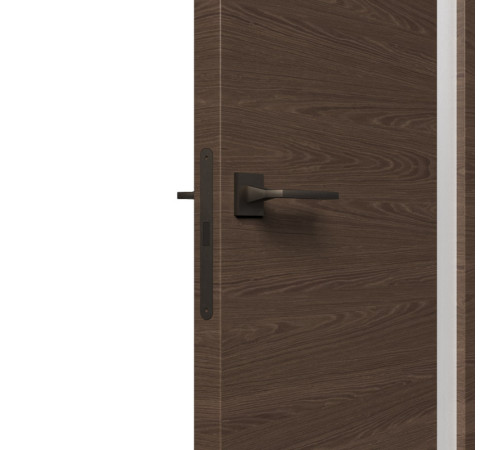 Міжкімнатні Двері Secret Doors Contemporary ARIA WOOD 06 ET Group Шпон