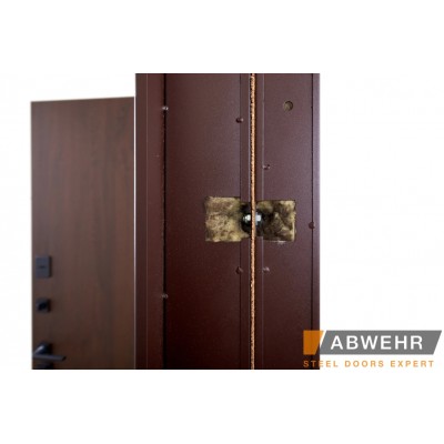 Вхідні Двері Bionica 2 LAMPRE (LP-1) ПГ Abwehr-10