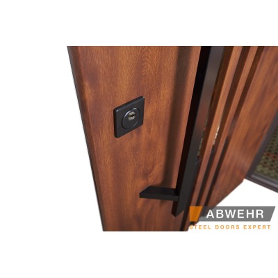 Входные Нестандартные двери с терморазрывом Revolution, 1600-1800*2050, комплектация FRAME Abwehr-10
