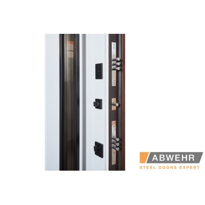 Вхідні Нестандартні двері з терморозривом Revolution, 1600-1800*2050, комплектація FRAME Abwehr-4