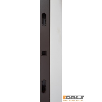 Вхідні Нестандартні двері з терморозривом Revolution, 1600-1800*2050, комплектація FRAME Abwehr-6