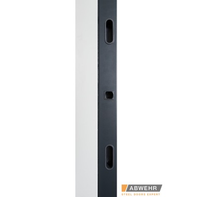Входные Нестандартные двери с терморазрывом Ufo Black (RAL 7016 + Белый), 1600-1800*2200, комплектация FRAME Abwehr-10