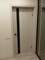 Двері Plato Line PTL-04 димчастий краст BLK Darumi