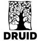 Druid