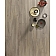 Ламинат Alsafloor Elegant EL 708-3-thumb