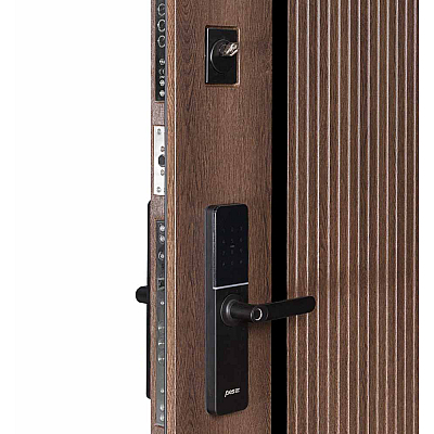 Входные Двери ЭЛЕКТРО (квадро) Kale 566 Дримвуд тёмный Булат-4