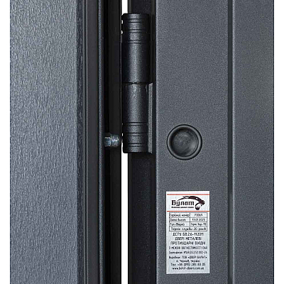 Входные Двери ТЕРМО HOUSE 710/265 Vinorit Булат-12