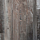 Вінілова підлога SPC BlissGround Forest Velish-3-thumb