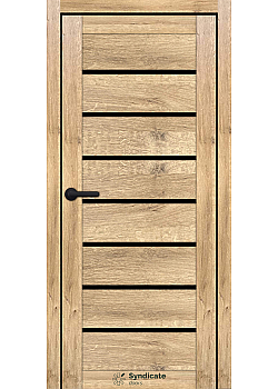 Двері SD-ECOTOP-102 BLK Syndicate