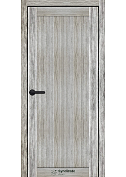 Двері SD-ECOTOP-170 Syndicate