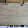 Кольорова гамма ART DOOR 8