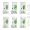 Каталог WakeWood 48