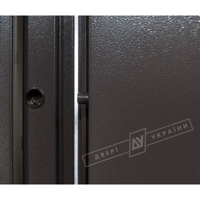 Входные Двери Флеш Салют 2 м/м RAL 8019 BARRERA + RICCARDI фурнитура: нержавеющая сталь Двери Украины-6