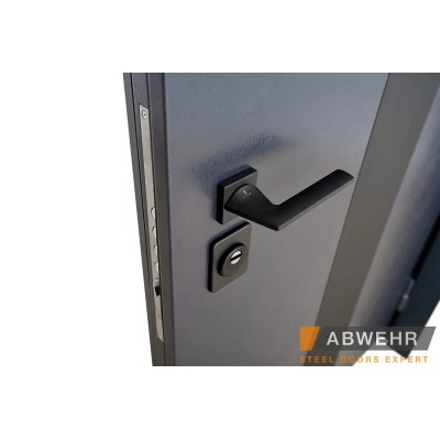 Входные Двери Bionica 2 LAMPRE (LP-3) ПГ Abwehr-4