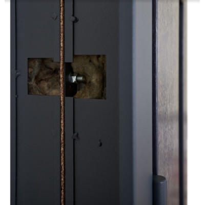 Входные Двери Bionica 2 LAMPRE (LP-3) Abwehr-11
