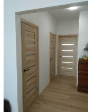 Двери Галерея EcoWOOD Мастер 683 ПО