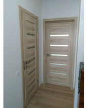 Двери Галерея EcoWOOD Мастер 683 ПО