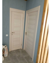Двері Галерея EcoWOOD Мастер 634 ПГ
