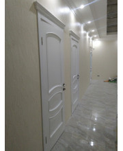 Двері Terminus Caro 50 ПГ