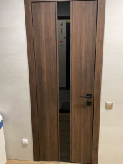Двери Forte 04 WakeWood