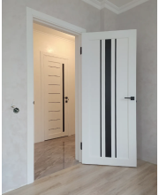 Двери StilDoors ARIZONA Черное стекло