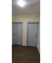 Двери Darumi Doors Plato серый краст