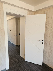 Двери Lines F9 Omega