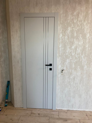 Двері Lines L7 Omega