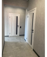 Двери StilDoors BELLANO Черное стекло