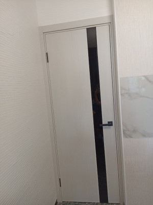 Двері Darumi Doors Plato Line PTL-04 дуб ольс