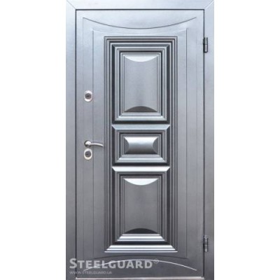 Вхідні Двері Termoskin двокольорові Steelguard-0