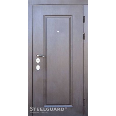 Вхідні Двері DP-1 двокольорові Steelguard-0
