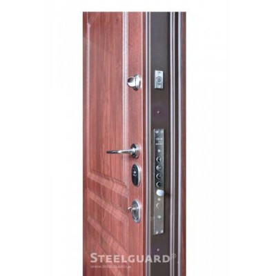 Входные Двери Manhattan двухцветная Steelguard-2