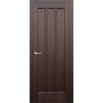 Двері Трояна ПГ БС НСД Двері-3