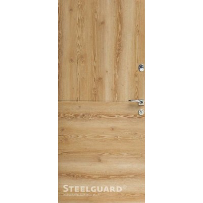 Входные Двери Vega Steelguard-1